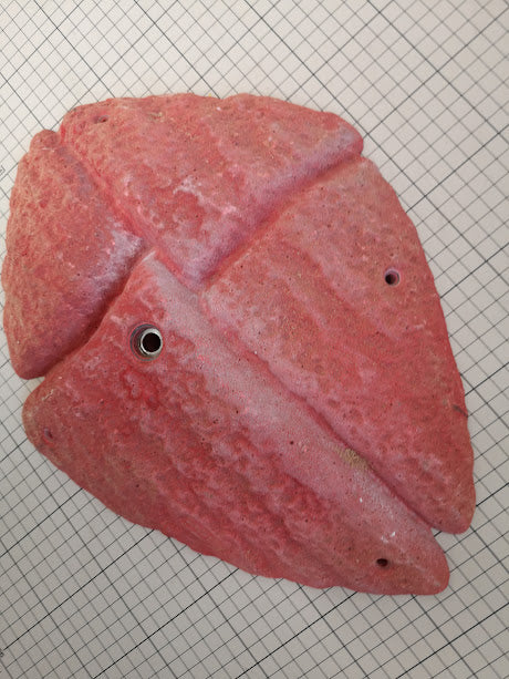 自家使用済 Core climbing