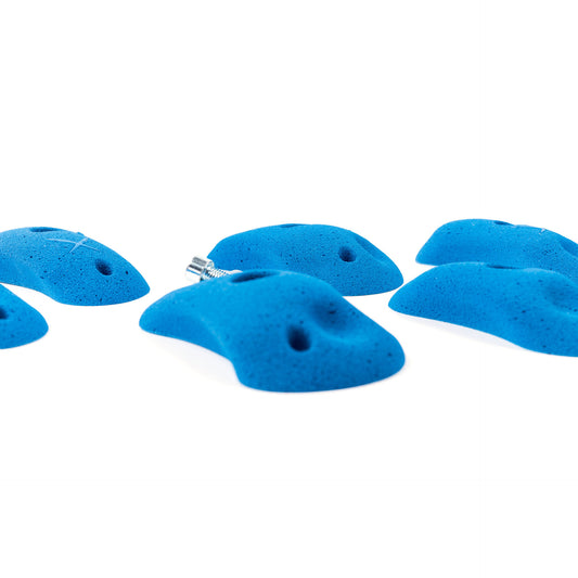 ココナッツ クリンプ 1 PU