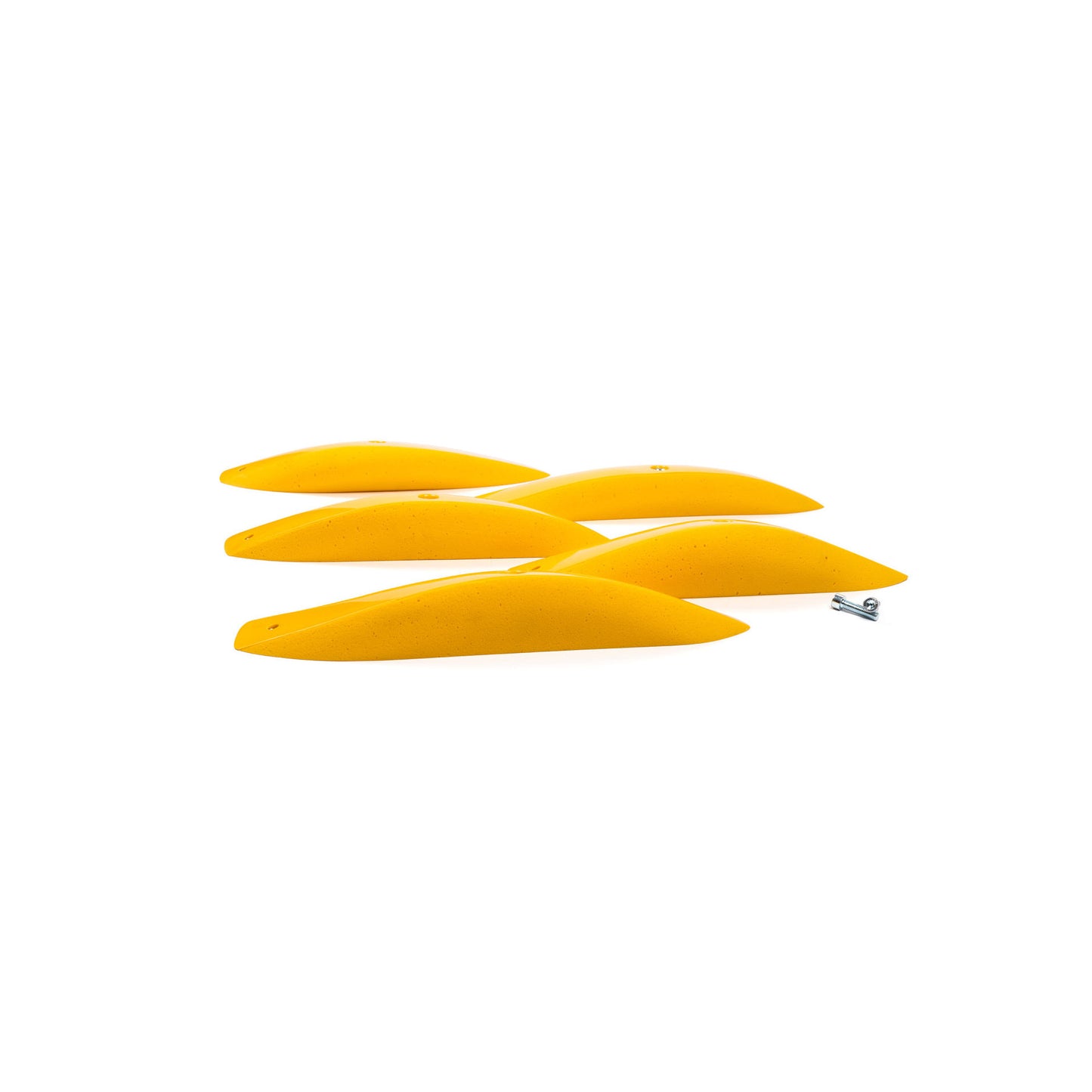 The Foxes DT Long Edges XXL 1