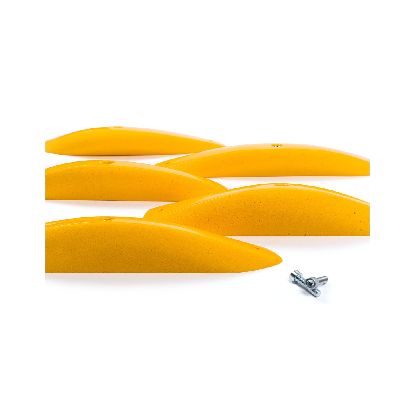 The Foxes DT Long Edges XXL 1