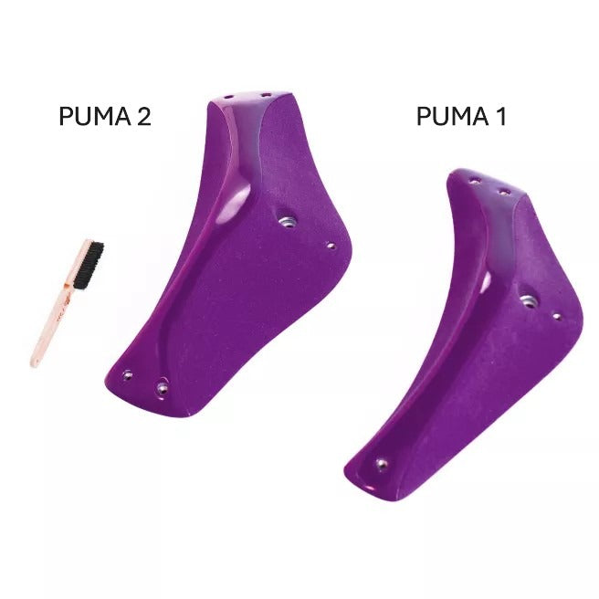 Puma 1