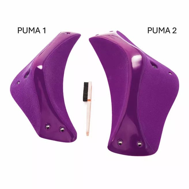 Puma 1