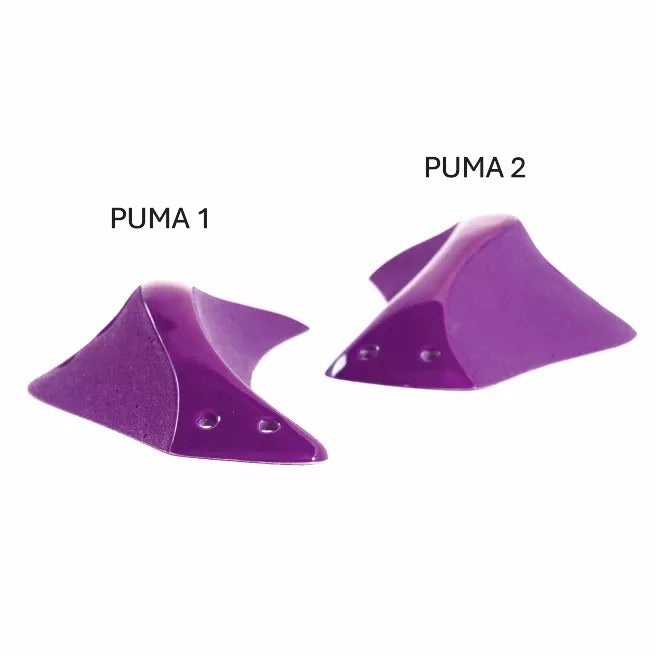 Puma 1
