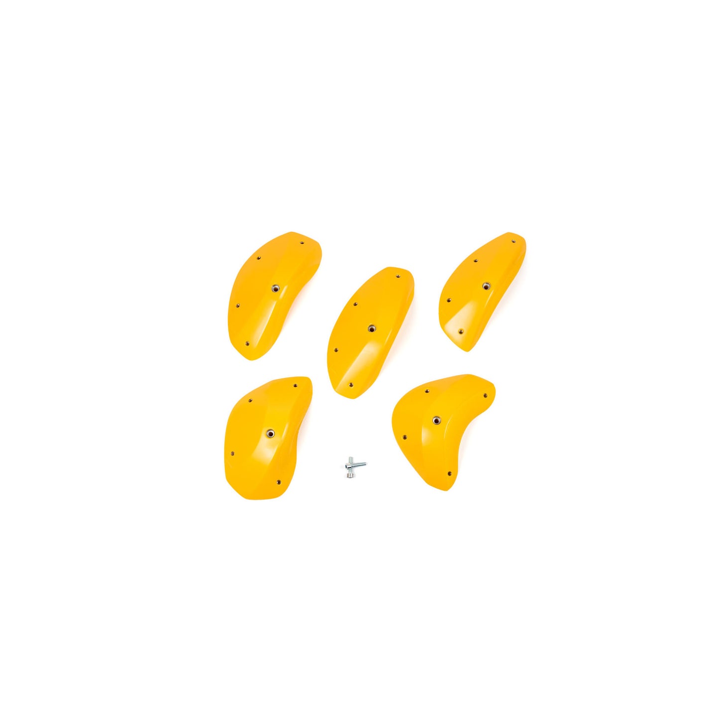 The Foxes DT Round Edges XXL 1