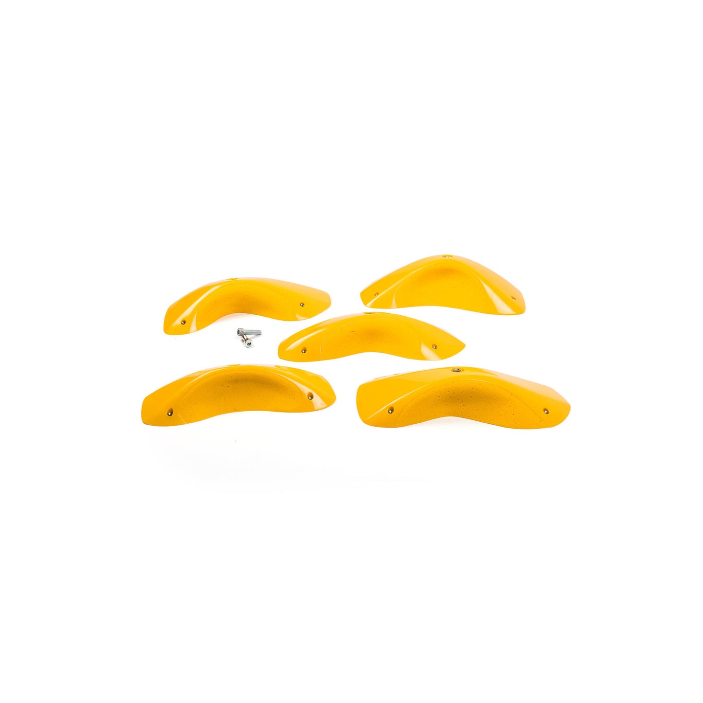 予約_FOXES DUAL TEXTURE Round Edges XXL 3_PU