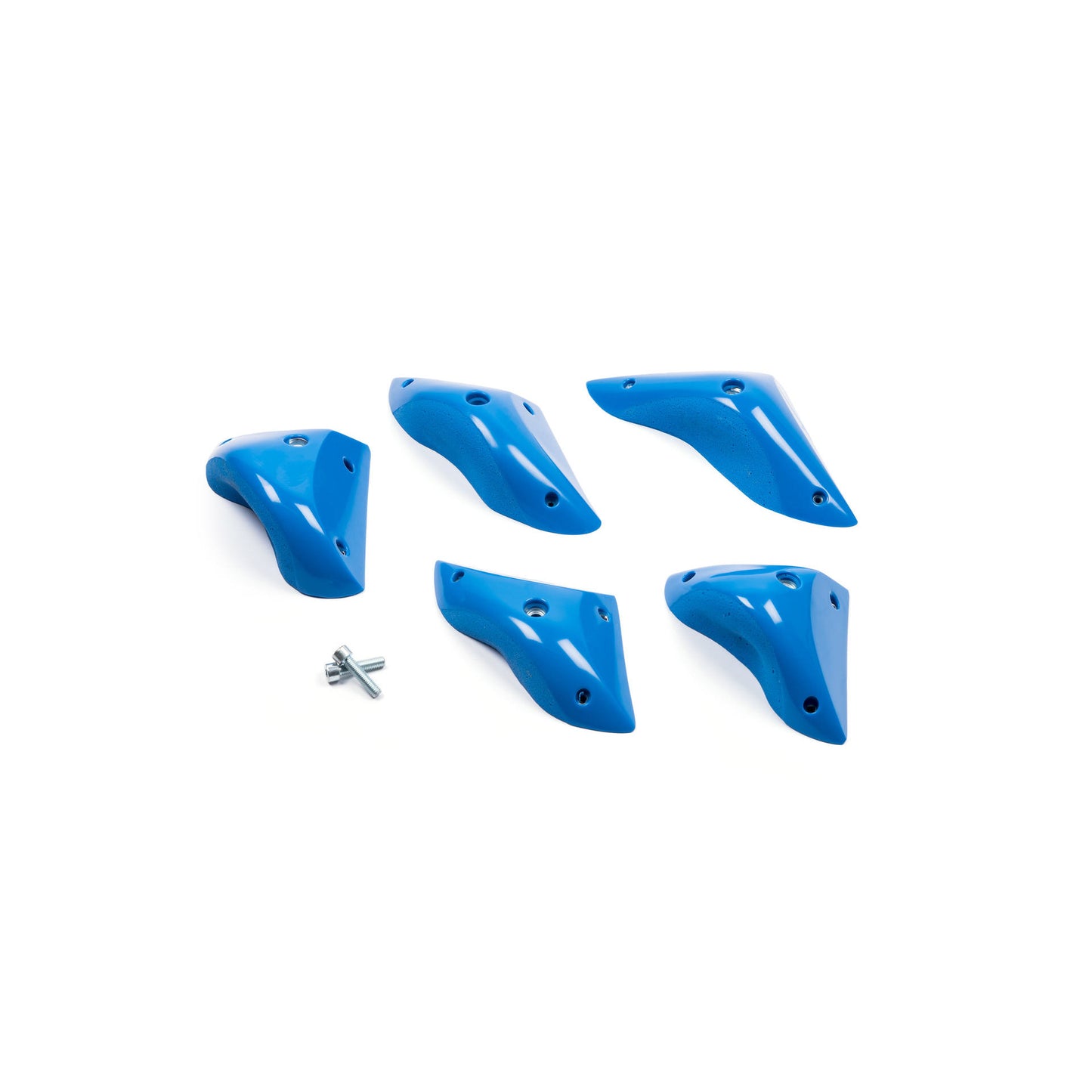 The Birds Dual XL 1