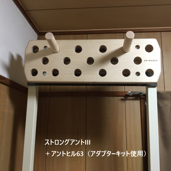 ストロングアントIII