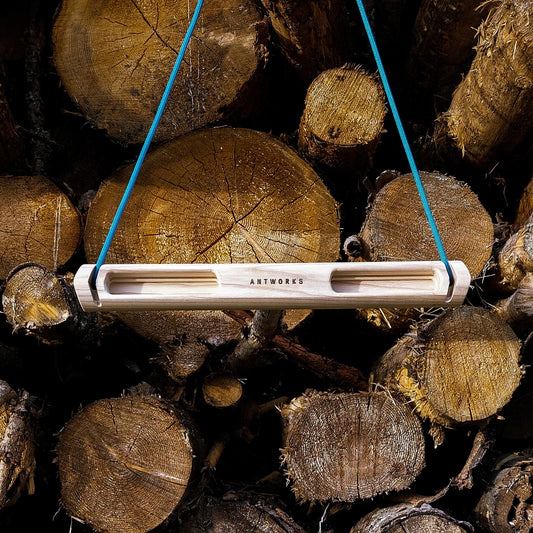 アンティドゥ ダブル