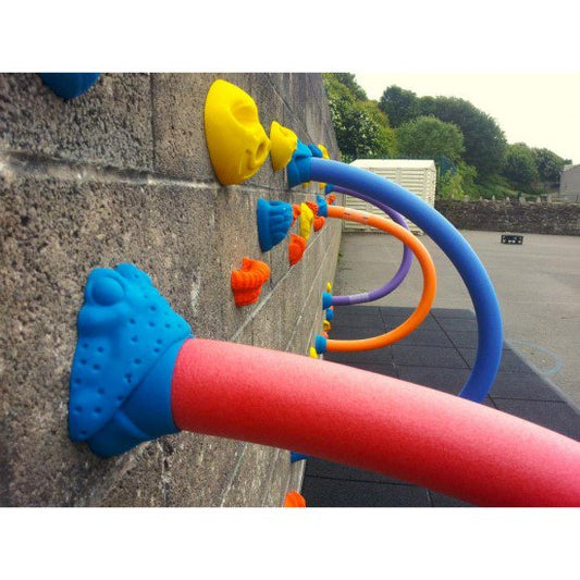 ヌードルホルダーウシガエル