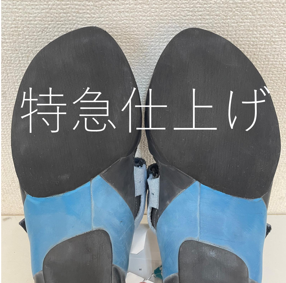 特急 リソール　両足　